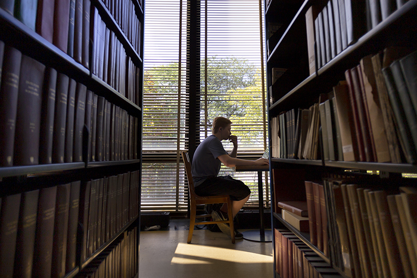 A student studying in Gavlin Library
