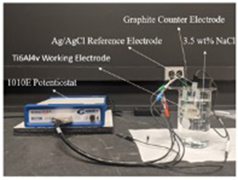 Bio-Electrochemical Behavior of 3D Printed Titanium Alloys